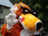 8762__c__jeffrey_mather