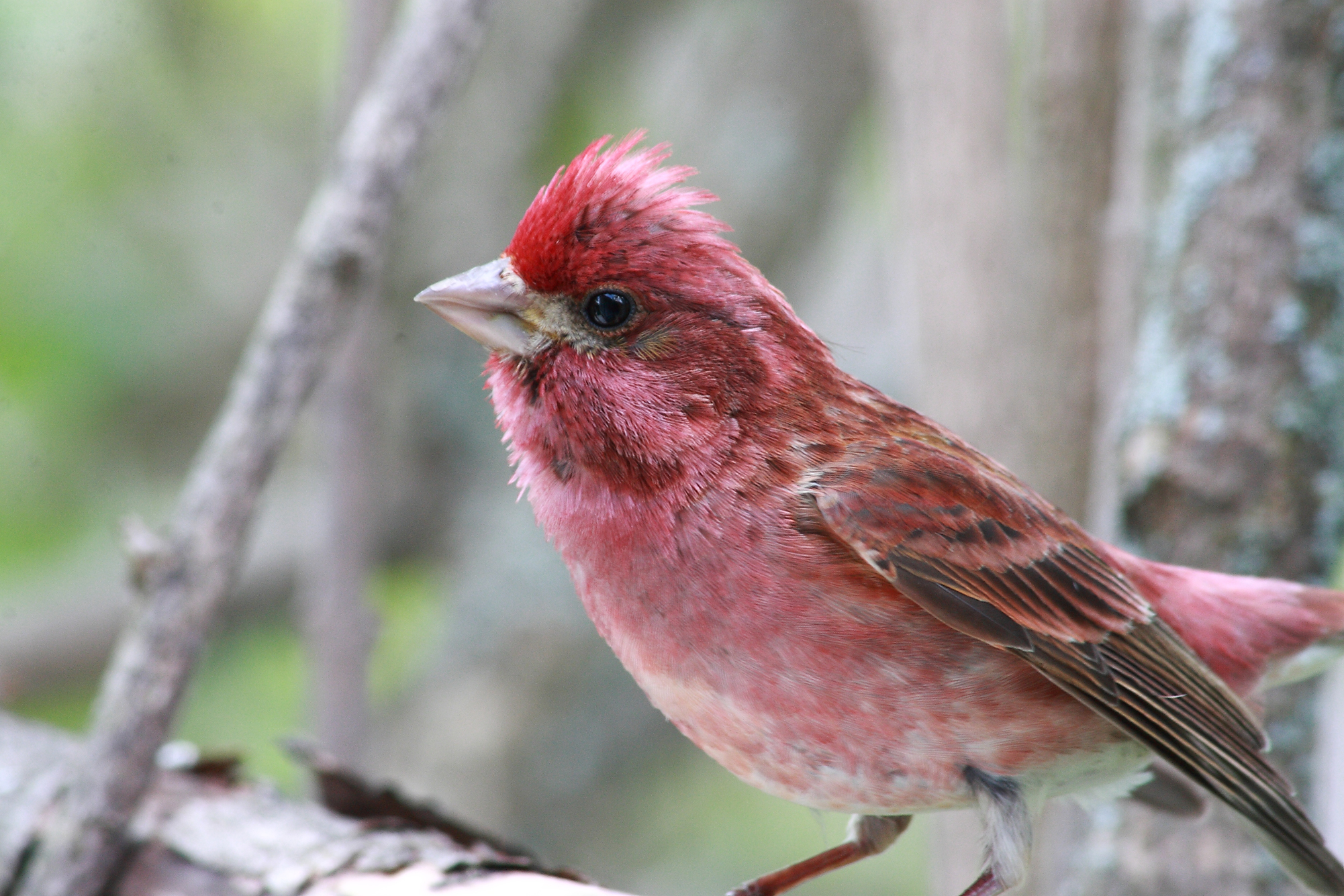 0794-c-jeffrey-mather